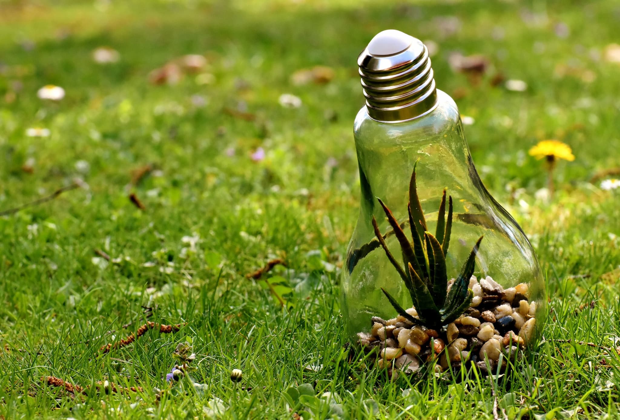 environmental-protection-3342204