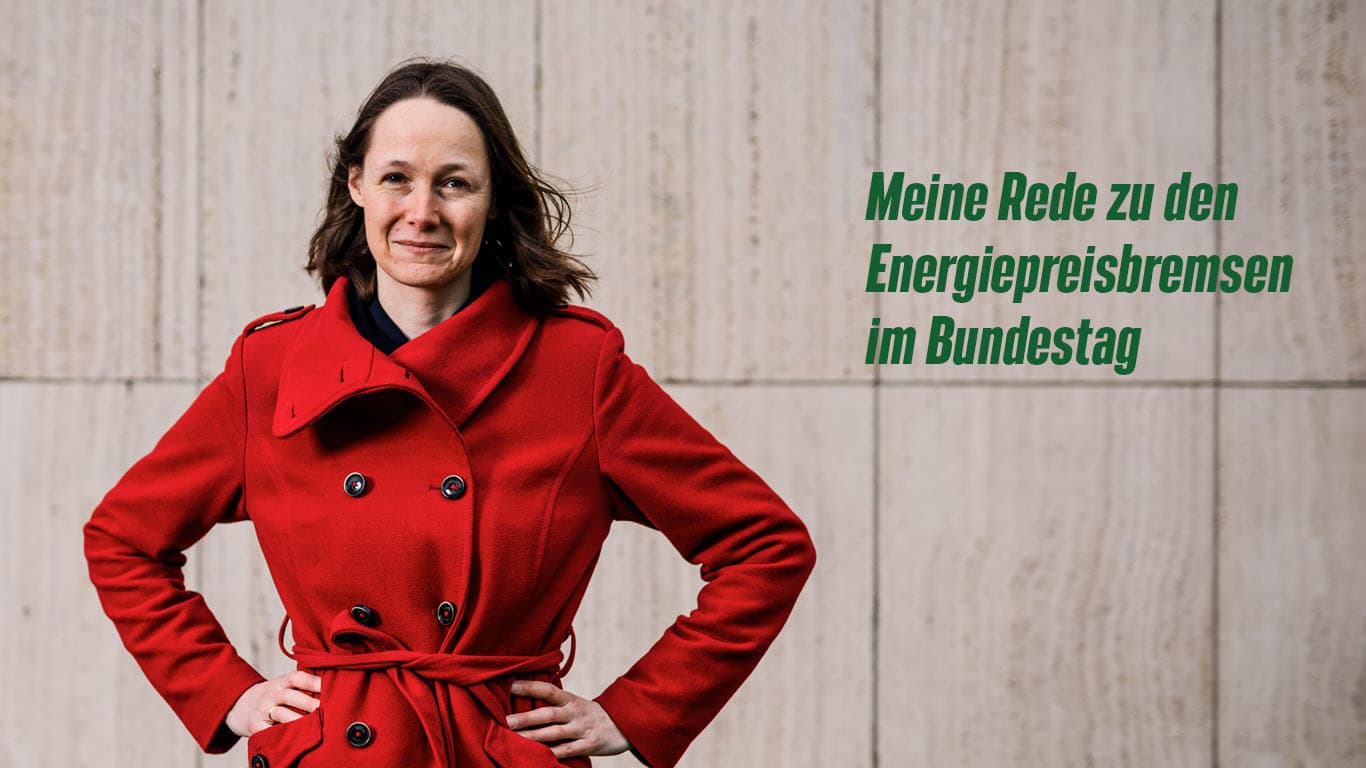 Rede-Preisbremse